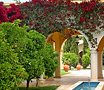 See reviews for Vila Monte in Algarve, Portugal
