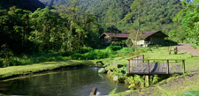 See reviews for El Silencio Lodge in Bajos del Toro, Costa Rica