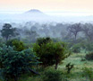 See reviews for Londolozi Private Game Reserve in Kruger National Park, South Africa