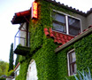 See reviews for Hotel San Jose in Austin, Texas, USA