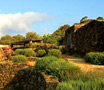 See reviews for Santa Teresa Resort in Pantelleria, Sicily, Italy