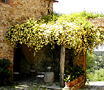 See reviews for Castello di Vicarello in Poggi del Sasso, Tuscany, Italy