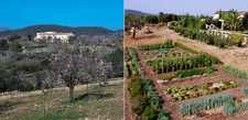 See reviews for Finca Son Gener in Mallorca, Balearic Islands, Spain