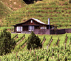 See reviews for Black Barn in Hawkes Bay, North Island, New Zealand