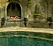 See reviews for Warwick Ibah Luxury Villas & Spa in Ubud, Bali, Indonesia