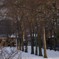 anolan4
